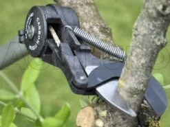 Archman Helium MT.2 - Forbicione Telescopico Professionale - Asta 170/270 Cm - Ø 35 Mm 19 Archman Helium MT.2 - Forbicione Telescopico Professionale - Asta 170/270 Cm - Ø 35 Mm -Garden Sconto archman helium mt 2 forbicione telescopico professionale asta 170 270 cm o 35 mm forbicione su asta di prolunga archman 10126 0 1487754517 Helium 0d3