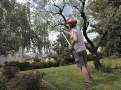 Archman Helium MT.2 - Forbicione Telescopico Professionale - Asta 170/270 Cm - Ø 35 Mm 18 Archman Helium MT.2 - Forbicione Telescopico Professionale - Asta 170/270 Cm - Ø 35 Mm -Garden Sconto archman helium mt 2 forbicione telescopico professionale asta 170 270 cm o 35 mm forbicione su asta di prolunga archman 10126 0 1487754518 Helium 04