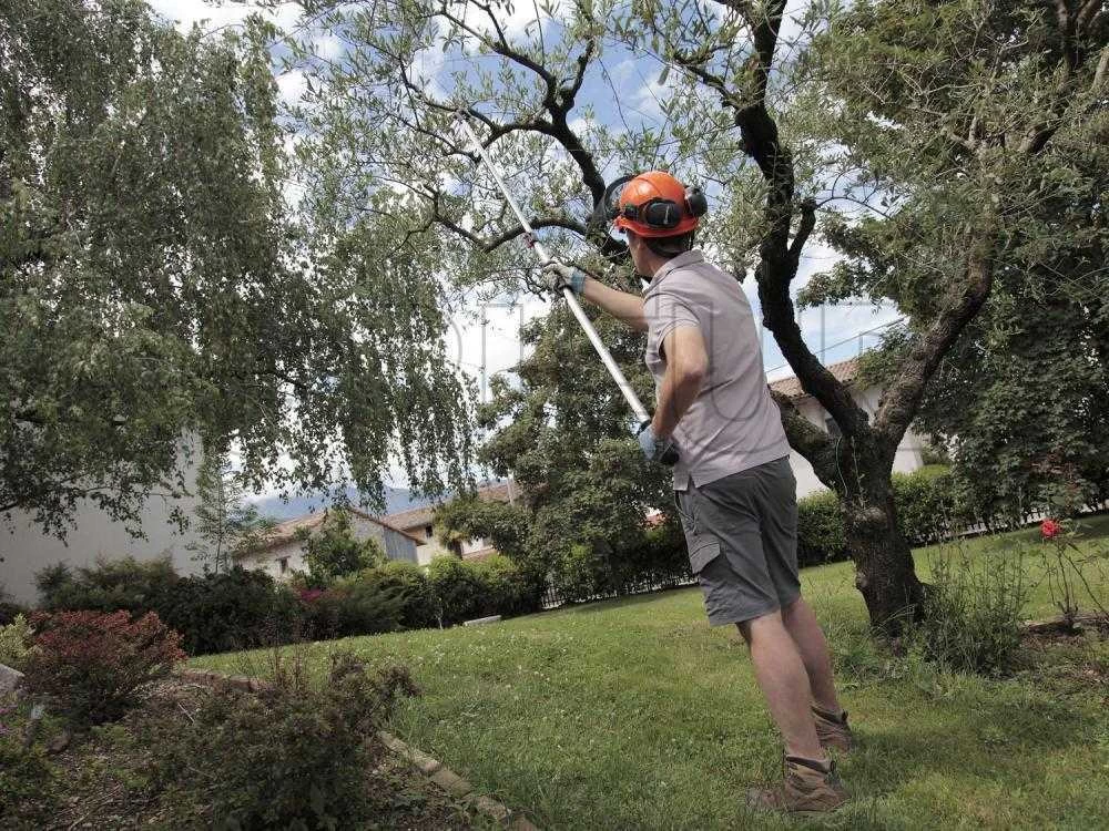 Archman Helium MT.2 - Forbicione Telescopico Professionale - Asta 170/270 Cm - Ø 35 Mm 5 Archman Helium MT.2 - Forbicione Telescopico Professionale - Asta 170/270 Cm - Ø 35 Mm - immagine 3