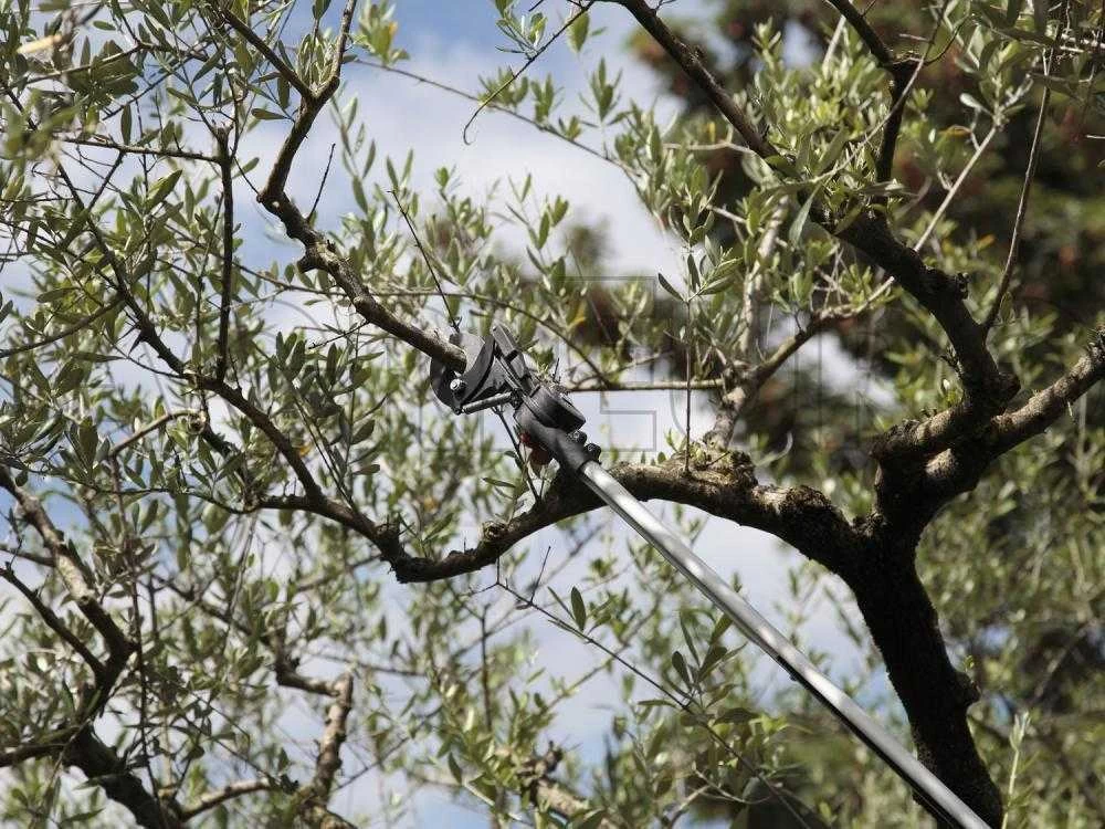 Archman Helium MT.2 - Forbicione Telescopico Professionale - Asta 170/270 Cm - Ø 35 Mm 15 Archman Helium MT.2 - Forbicione Telescopico Professionale - Asta 170/270 Cm - Ø 35 Mm - immagine 13