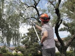 Archman Helium MT.2 - Forbicione Telescopico Professionale - Asta 170/270 Cm - Ø 35 Mm 29 Archman Helium MT.2 - Forbicione Telescopico Professionale - Asta 170/270 Cm - Ø 35 Mm -Garden Sconto archman helium mt 2 forbicione telescopico professionale asta 170 270 cm o 35 mm forbicione su asta di prolunga archman 10126 0 1487755711 Helium 045