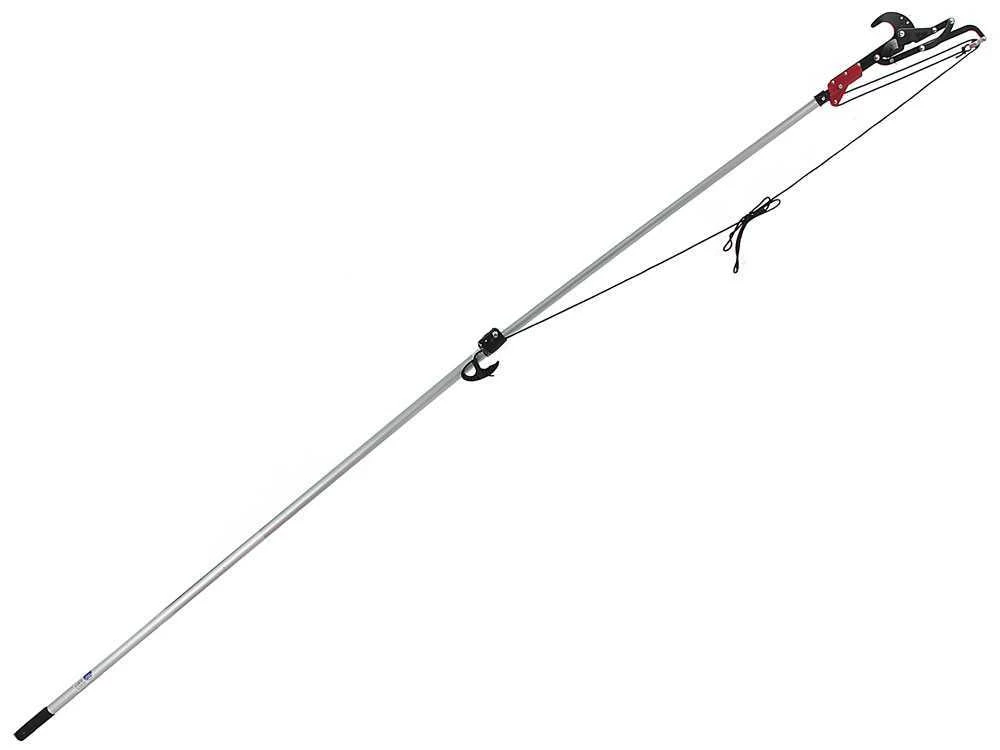 Ausonia - Svettatoio A Pertica Professionale - Su Asta Telescopica Da 176-300 Cm - Ø 40 Mm 5 Ausonia - Svettatoio A Pertica Professionale - Su Asta Telescopica Da 176-300 Cm - Ø 40 Mm - immagine 3