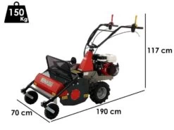 Benassi T603 - Trinciaerba Professionali A Martelli - Honda GX200 -Garden Sconto benassi t603 trinciaerba professionali a martelli honda gx200 trinciaerba a martelli falciatutto semovente benassi t 603 33431 1 1646909298 IMG 6229d7723a4f4