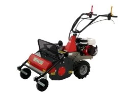 Benassi T603 - Trinciaerba Professionali A Martelli - Honda GX200 -Garden Sconto benassi t603 trinciaerba professionali a martelli honda gx200 trinciaerba a martelli falciatutto semovente benassi t 603 33431 1 1646909298 IMG 6229d7723e0ab