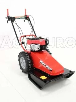 Blue Bird Domino - Trinciaerba A Scoppio - Lama E Filo - B&S 850E -Garden Sconto blue bird domino trinciaerba a scoppio lama e filo b s 850e presentazione blue bird domino 850 5326 0 1393257981 IMG 9948