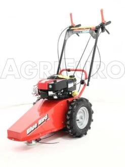 Blue Bird Domino - Trinciaerba A Scoppio - Lama E Filo - B&S 850E -Garden Sconto blue bird domino trinciaerba a scoppio lama e filo b s 850e presentazione blue bird domino 850 5326 0 1393338206 IMG 0299