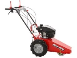 Blue Bird Domino - Trinciaerba A Scoppio - Lama E Filo - Honda GCV 200 -Garden Sconto blue bird domino trinciaerba a scoppio lama e filo honda gcv 200 trinciaerba a scoppio domino blue bird honda gcv 200 22803 0 1585930718 IMG 5e8761de7b69f