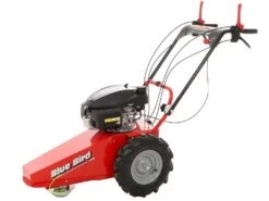 Blue Bird Domino - Trinciaerba A Scoppio - Lama E Filo - Honda GCV 200 -Garden Sconto blue bird domino trinciaerba a scoppio lama e filo honda gcv 200 trinciaerba a scoppio domino blue bird honda gcv 200 22803 0 1585930718 IMG 5e8761deb3ad6