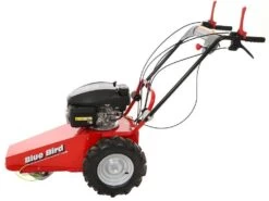 Blue Bird Domino - Trinciaerba A Scoppio - Lama E Filo - Honda GCV 200 -Garden Sconto blue bird domino trinciaerba a scoppio lama e filo honda gcv 200 trinciaerba a scoppio domino blue bird honda gcv 200 22803 0 1585930718 IMG 5e8761dece59c