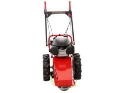 Blue Bird Domino - Trinciaerba A Scoppio - Lama E Filo - Honda GCV 200 -Garden Sconto blue bird domino trinciaerba a scoppio lama e filo honda gcv 200 trinciaerba a scoppio domino blue bird honda gcv 200 22803 0 1585930719 IMG 5e8761df2d270