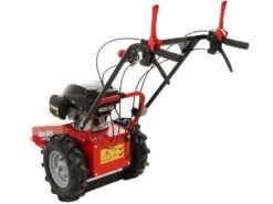 Blue Bird Domino - Trinciaerba A Scoppio - Lama E Filo - Honda GCV 200 -Garden Sconto blue bird domino trinciaerba a scoppio lama e filo honda gcv 200 trinciaerba a scoppio domino blue bird honda gcv 200 22803 0 1585930719 IMG 5e8761df56813