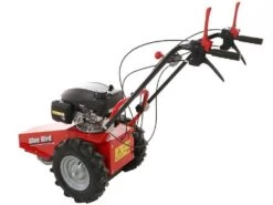 Blue Bird Domino - Trinciaerba A Scoppio - Lama E Filo - Honda GCV 200 -Garden Sconto blue bird domino trinciaerba a scoppio lama e filo honda gcv 200 trinciaerba a scoppio domino blue bird honda gcv 200 22803 0 1585930719 IMG 5e8761df5922f