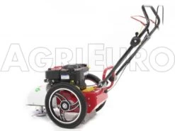 Blue Bird FLO Pro Speed 6BS - Trinciaerba A Scoppio - Lama E Filo - B&S 850E -Garden Sconto blue bird flo pro speed 6bs trinciaerba a scoppio lama e filo b s 850e trinciaerba flo pro speed 6bs b s 850e 10808 0 1498742265 IMG 9756