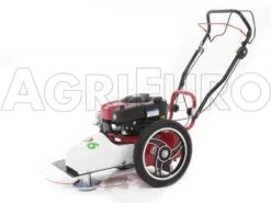 Blue Bird FLO Pro Speed 6BS - Trinciaerba A Scoppio - Lama E Filo - B&S 850E -Garden Sconto blue bird flo pro speed 6bs trinciaerba a scoppio lama e filo b s 850e trinciaerba flo pro speed 6bs b s 850e 10808 0 1498742271 IMG 9758