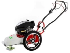 Blue Bird FLO Pro Speed 6HO - Trinciaerba A Scoppio - Lama E Filo - Honda GCV200 -Garden Sconto blue bird flo pro speed 6ho trinciaerba a scoppio lama e filo honda gcv200 trinciaerba flo pro speed 6ho honda gcv 200 22785 0 1585755507 IMG 5e84b5739eaaa