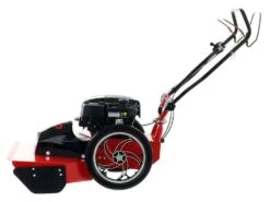 Blue Bird FLO PRO SPEED 7 - Trinciaerba A Scoppio - Lama E Filo - B&S 850PXI -Garden Sconto blue bird flo pro speed 7 trinciaerba a scoppio lama e filo b s 850pxi trinciaerba a scoppio flo pro speed 7bs 31940 0 1637836993 IMG 619f68c1a4084