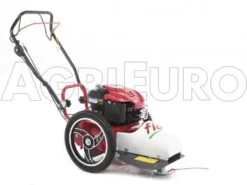 Blue Bird FLO Speed 6BS - Trinciaerba A Scoppio - Lama E Filo - B&S 675EX 17 Blue Bird FLO Speed 6BS - Trinciaerba A Scoppio - Lama E Filo - B&S 675EX -Garden Sconto blue bird flo speed 6bs trinciaerba a scoppio lama e filo b s 675ex trinciaerba flo speed 6bs b s 675ex 10804 0 1498641587 IMG 9637
