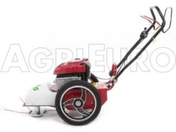 Blue Bird FLO Speed 6BS - Trinciaerba A Scoppio - Lama E Filo - B&S 675EX 21 Blue Bird FLO Speed 6BS - Trinciaerba A Scoppio - Lama E Filo - B&S 675EX -Garden Sconto blue bird flo speed 6bs trinciaerba a scoppio lama e filo b s 675ex trinciaerba flo speed 6bs b s 675ex 10804 0 1498641592 IMG 9639