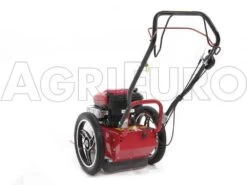 Blue Bird FLO Speed 6BS - Trinciaerba A Scoppio - Lama E Filo - B&S 675EX 25 Blue Bird FLO Speed 6BS - Trinciaerba A Scoppio - Lama E Filo - B&S 675EX -Garden Sconto blue bird flo speed 6bs trinciaerba a scoppio lama e filo b s 675ex trinciaerba flo speed 6bs b s 675ex 10804 0 1498641598 IMG 9641