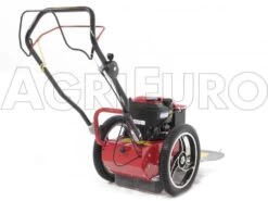 Blue Bird FLO Speed 6BS - Trinciaerba A Scoppio - Lama E Filo - B&S 675EX 26 Blue Bird FLO Speed 6BS - Trinciaerba A Scoppio - Lama E Filo - B&S 675EX -Garden Sconto blue bird flo speed 6bs trinciaerba a scoppio lama e filo b s 675ex trinciaerba flo speed 6bs b s 675ex 10804 0 1498641600 IMG 9643