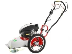 Blue Bird FLO Speed 6HO - Decespugliatore A Ruote A Benzina 4 Tempi Semovente - Honda GCVx170 -Garden Sconto blue bird flo speed 6ho decespugliatore a ruote a benzina 4 tempi semovente honda gcvx170 trinciaerba flo speed 6ho honda gcvx 170 25510 0 1602676377 IMG 5f86e69918496