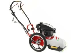 Blue Bird FLO Speed 6HO - Decespugliatore A Ruote A Benzina 4 Tempi Semovente - Honda GCVx170 -Garden Sconto blue bird flo speed 6ho decespugliatore a ruote a benzina 4 tempi semovente honda gcvx170 trinciaerba flo speed 6ho honda gcvx 170 25510 0 1602676377 IMG 5f86e69924044