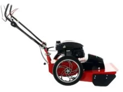 Blue Bird FLO SPEED 7HO - Trinciaerba A Scoppio - Lama E Filo - Honda GCVX 170 -Garden Sconto blue bird flo speed 7ho trinciaerba a scoppio lama e filo honda gcvx 170 trinciaerba flo speed 7ho honda gcvx 170 31926 17 1637763110 IMG 619e48267269b