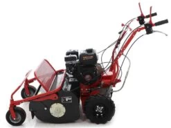 Blue Bird SG0812A - Trinciaerba Professionale A Martelli - Loncin LC175F-2 -Garden Sconto blue bird sg0812a trinciaerba professionale a martelli loncin lc175f 2 trinciaerba blue bird sg0812a 16650 1 1557993405 IMG 3495