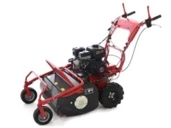 Blue Bird SG0812A - Trinciaerba Professionale A Martelli - Loncin LC175F-2 -Garden Sconto blue bird sg0812a trinciaerba professionale a martelli loncin lc175f 2 trinciaerba blue bird sg0812a 16650 1 1557993405 IMG 3500