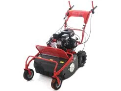 Blue Bird SG0812A - Trinciaerba Professionale A Martelli - Loncin LC175F-2 -Garden Sconto blue bird sg0812a trinciaerba professionale a martelli loncin lc175f 2 trinciaerba blue bird sg0812a 16650 1 1557993406 IMG 3501