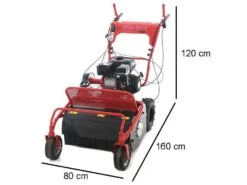 Blue Bird SG0812A - Trinciaerba Professionale A Martelli - Loncin LC175F-2 -Garden Sconto blue bird sg0812a trinciaerba professionale a martelli loncin lc175f 2 trinciaerba blue bird sg0812a 16650 1 1557993406 IMG 3540