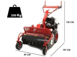 Blue Bird SG0813 - Trinciaerba Professionale A Martelli - Loncin G390F -Garden Sconto blue bird sg0813 trinciaerba professionale a martelli loncin g390f trinciaerba blue bird sg0813 25665 1 1603286385 IMG 5f903571a36ae