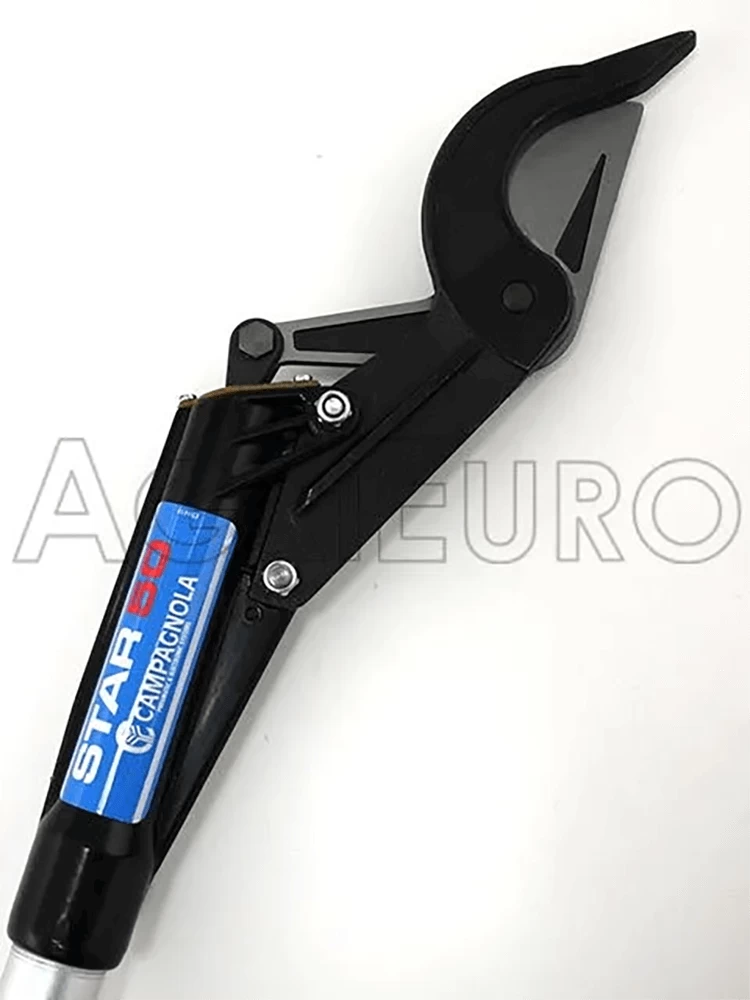 Campagnola STAR 50 - Troncarami Pneumatica Da Potatura Su Asta Di Prolunga - 250 Cm 4 Campagnola STAR 50 - Troncarami Pneumatica Da Potatura Su Asta Di Prolunga - 250 Cm - immagine 2