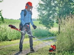 Einhell AGILLO - Decespugliatore A Batteria - 18V - 2x 5.2Ah 22 Einhell AGILLO - Decespugliatore A Batteria - 18V - 2x 5.2Ah -Garden Sconto einhell agillo decespugliatore a batteria 18v 2x 5 2ah decespugliatore a batteria einhell agillo 37836 15 1664886275 IMG 633c26036bbf3