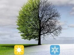 Einhell GE-US 18 Li - Spandiconcime A Batteria - 2.5Ah 18V -Garden Sconto einhell ge us 18 li spandiconcime a batteria 2 5ah 18v la seminatrice e spargisale a batteria einhell ge us 18 li 29762 3 1623246098 IMG 60c0c51292e31