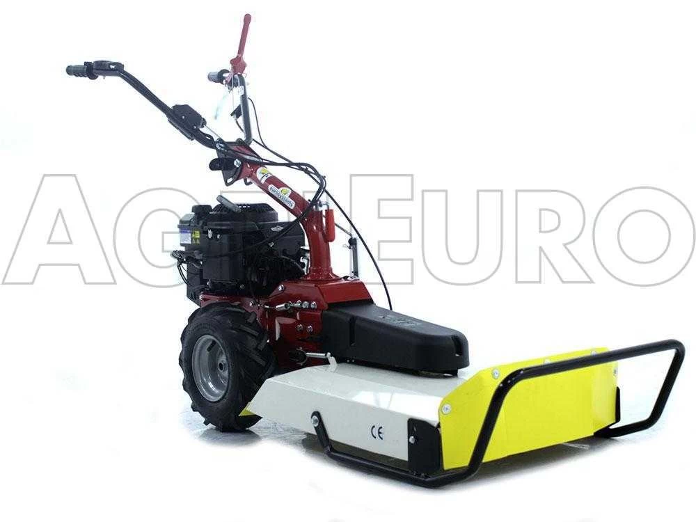 Eurosystems P55V - Trinciaerba A Scoppio - Lama - B&S 675iS 4 Eurosystems P55V - Trinciaerba A Scoppio - Lama - B&S 675iS - immagine 2