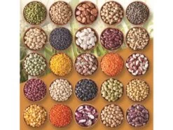 GeoTech PM 200 - Seminatrice A Spinta Con Rullo - Spandiconcime -Garden Sconto geotech pm 200 seminatrice a spinta con rullo spandiconcime seminatrice a spinta con rullo geotech pm 200 12803 0 1523430865 foto semi