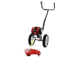 GeoTech WBC-P 540 - Decespugliatore A Ruote A Miscela A Spinta -Garden Sconto geotech wbc p 540 decespugliatore a ruote a miscela a spinta decespugliatore a ruote a miscela wbc p 540 22125 0 1581501498 IMG 4215