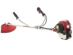 Honda GX 50 M - Decespugliatore A Benzina 4 Tempi - Asta Blue Bird 17 Honda GX 50 M - Decespugliatore A Benzina 4 Tempi - Asta Blue Bird -Garden Sconto honda gx 50 m decespugliatore a benzina 4 tempi asta blue bird decespugliatore honda gx 50 21931 21 1579620659 IMG 0036