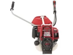 Honda GX 50 M - Decespugliatore A Benzina 4 Tempi - Asta Blue Bird 19 Honda GX 50 M - Decespugliatore A Benzina 4 Tempi - Asta Blue Bird -Garden Sconto honda gx 50 m decespugliatore a benzina 4 tempi asta blue bird decespugliatore honda gx 50 21931 21 1579620659 IMG 0037