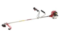 Honda GX 50 M - Decespugliatore A Benzina 4 Tempi - Asta Blue Bird 21 Honda GX 50 M - Decespugliatore A Benzina 4 Tempi - Asta Blue Bird -Garden Sconto honda gx 50 m decespugliatore a benzina 4 tempi asta blue bird decespugliatore honda gx 50 21931 21 1579620660 IMG 0042