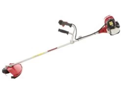 Honda GX 50 M - Decespugliatore A Benzina 4 Tempi - Asta Blue Bird 23 Honda GX 50 M - Decespugliatore A Benzina 4 Tempi - Asta Blue Bird -Garden Sconto honda gx 50 m decespugliatore a benzina 4 tempi asta blue bird decespugliatore honda gx 50 21931 21 1579620660 IMG 0043