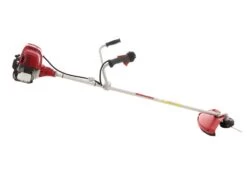 Honda GX 50 M - Decespugliatore A Benzina 4 Tempi - Asta Blue Bird 24 Honda GX 50 M - Decespugliatore A Benzina 4 Tempi - Asta Blue Bird -Garden Sconto honda gx 50 m decespugliatore a benzina 4 tempi asta blue bird decespugliatore honda gx 50 21931 21 1579620660 IMG 0044