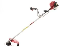 Honda GX 50 M - Decespugliatore A Benzina 4 Tempi - Asta Blue Bird 16 Honda GX 50 M - Decespugliatore A Benzina 4 Tempi - Asta Blue Bird -Garden Sconto honda gx 50 m decespugliatore a benzina 4 tempi asta blue bird decespugliatore honda gx 50 21931 21 1579620660 IMG 0046