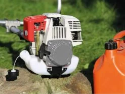 Ikra IBF 31-4 - Decespugliatore A Benzina 4 Tempi -Garden Sconto ikra ibf 31 4 decespugliatore a benzina 4 tempi decespugliatore ikra ibf 31 4 18707 17 1574091298 61DzTVlDfsL. AC SL1000