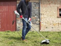 Ikra IES 1000 C - Decespugliatore Elettrico -Garden Sconto ikra ies 1000 c decespugliatore elettrico il decespugliatore elettrico ikra ies 1000 c 18691 6 1573824831 71jaFo0aKkL. AC SL1000