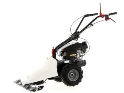 Motofalciatrice Bilama Eurosystems GMP 210 H - Motore Honda GCVx 34 Motofalciatrice Bilama Eurosystems GMP 210 H - Motore Honda GCVx -Garden Sconto motofalciatrice bilama eurosystems gmp 210 h motore honda gcvx motofalciatrice eurosystem gmp 210 h 24870 5 1597755268 IMG 5f3bcf84ed4be