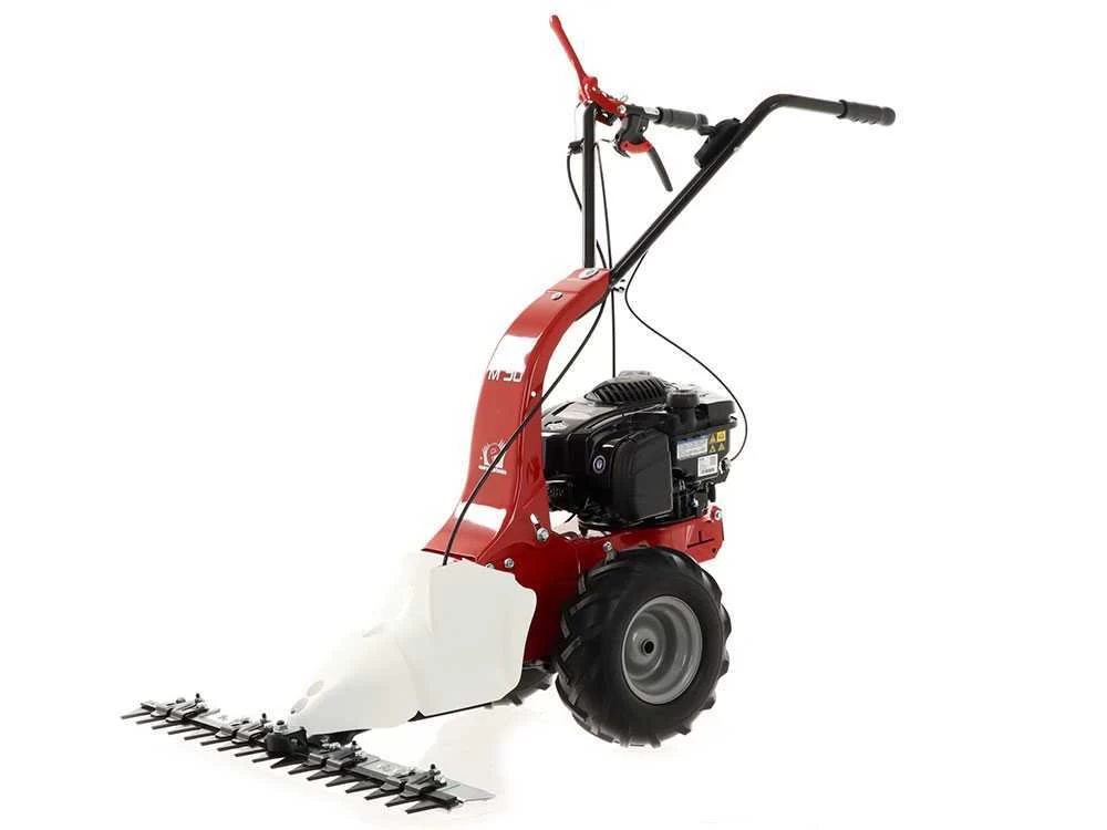 Motofalciatrice Monolama Eurosystems M90 - Motore B&S 625 EXi 20 Motofalciatrice Monolama Eurosystems M90 - Motore B&S 625 EXi - immagine 18