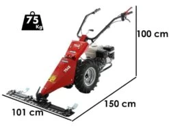 Motofalciatrice Multifunzione Ginko MGM FC 754 E - Honda GX160 17 Motofalciatrice Multifunzione Ginko MGM FC 754 E - Honda GX160 -Garden Sconto motofalciatrice multifunzione ginko mgm fc 754 e honda gx160 motofalciatrice ginko mgm fc 754 e 41264 0 1681218063 IMG 64355a0f48ef7