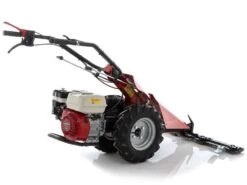 Motofalciatrice Multifunzione Ginko MGM FC 754 E - Honda GX160 25 Motofalciatrice Multifunzione Ginko MGM FC 754 E - Honda GX160 -Garden Sconto motofalciatrice multifunzione ginko mgm fc 754 e honda gx160 motofalciatrice ginko mgm fc 754 e 41264 0 1681218063 IMG 64355a0f67ae5